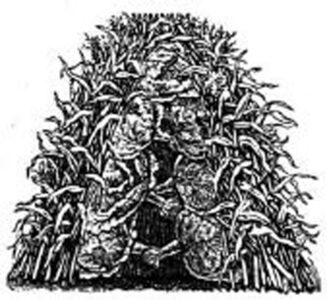 black and white illustration of a dome like construction with the outside having roots sticking…